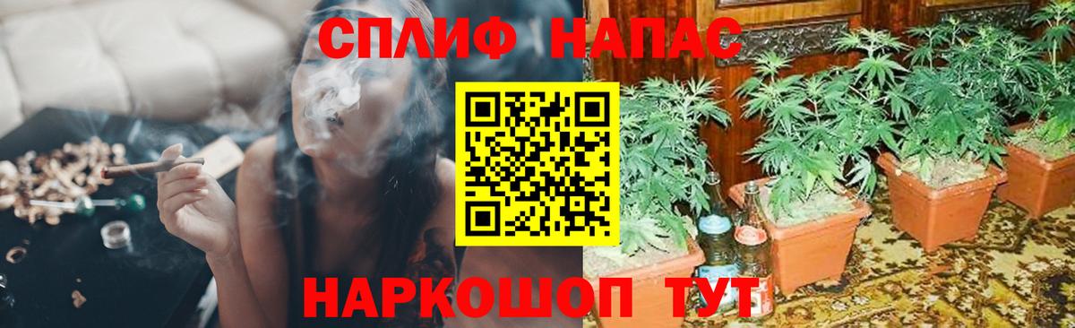 Бошки марихуана Ganja Выкса